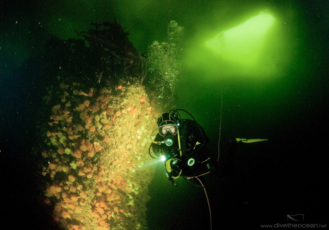 Ice diving at White Sea