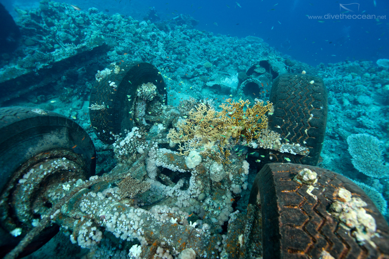 Toyota wreck - Sudan & fire coral