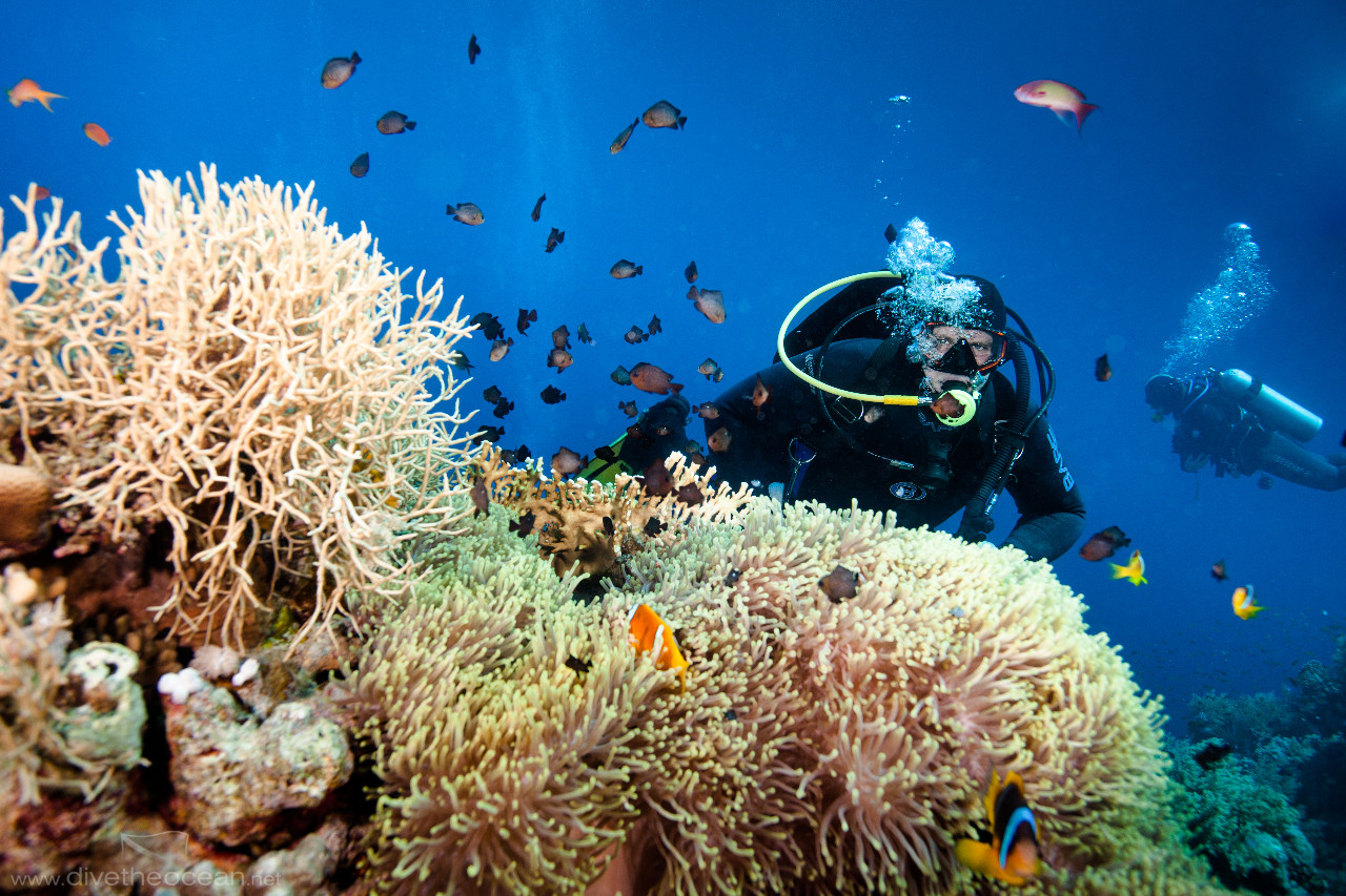 Radek with Anemone