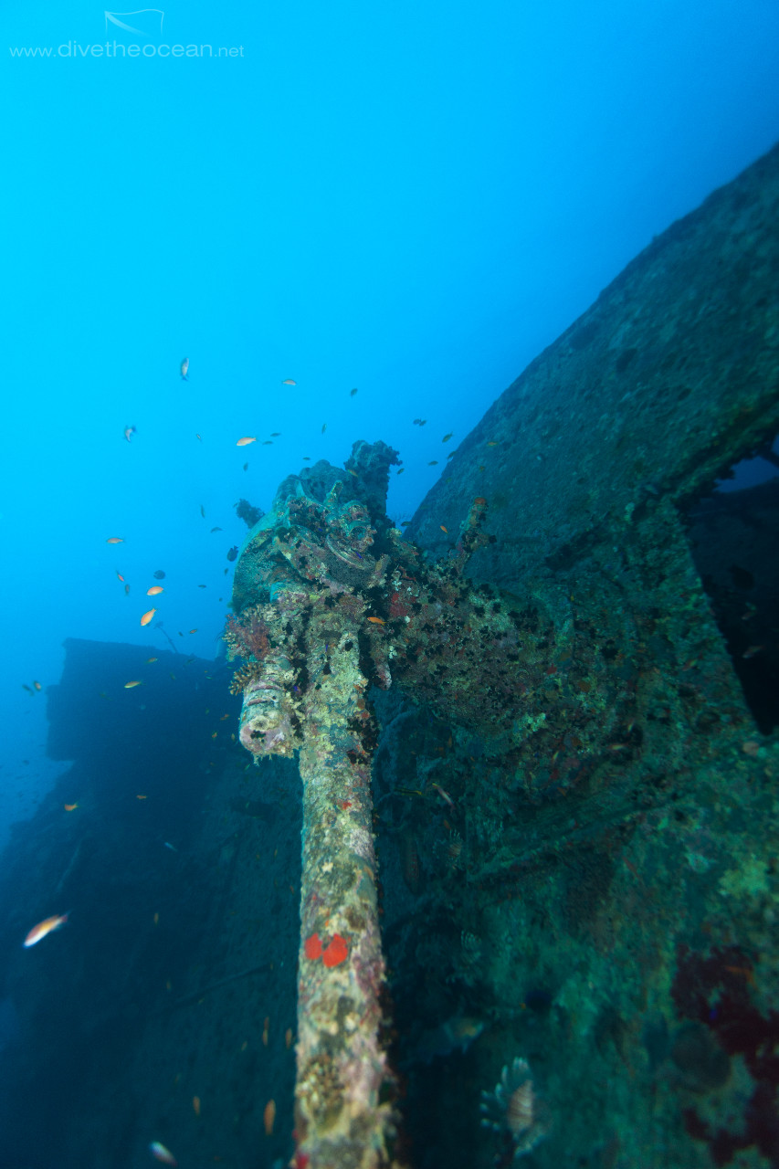 Thistlegorm stern cannon