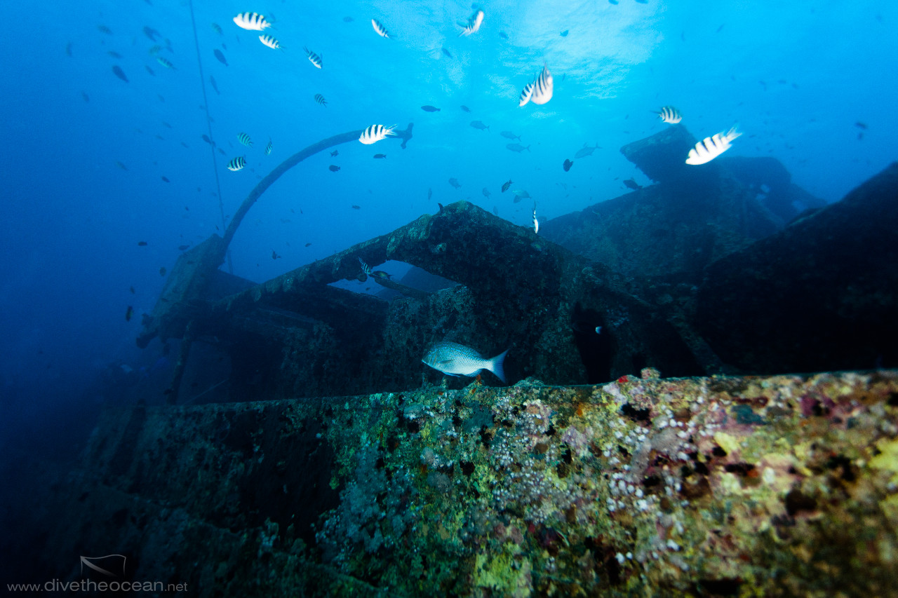 SS Thistlegorm wreck