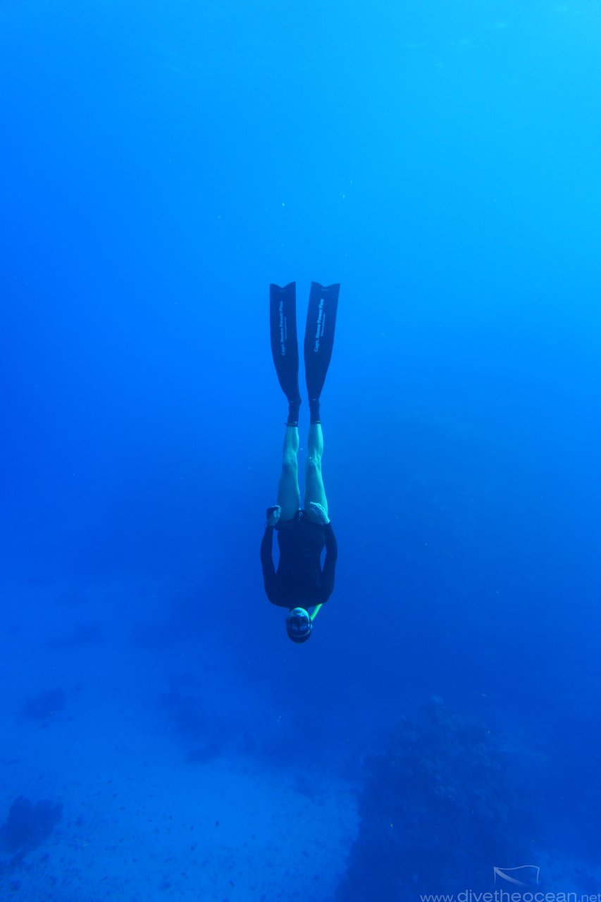 Freefall