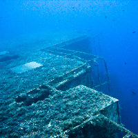 Zenobia Wreck - Cyprus (Larnaca)