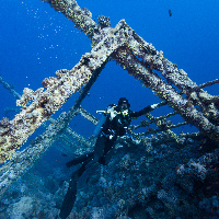 Numidia wreck - Big Brothed