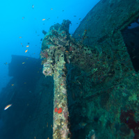 Thistlegorm stern cannon