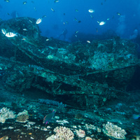 wagon on SS Thistleghorm wreck