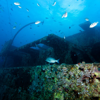 SS Thistlegorm wreck