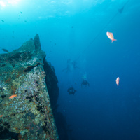 SS Thistlegorm wreck