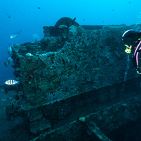 wagon on SS Thistleghorm wreck