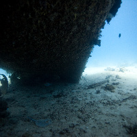 Under the wreck