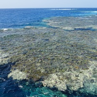 Claudio reef, Fury Shoal