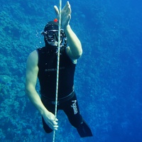 Freediver 