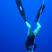 Freediver