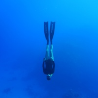 Freefall
