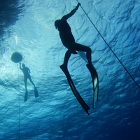 Freedivers