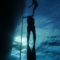 Freedivers