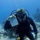 AOWD course Deep dive