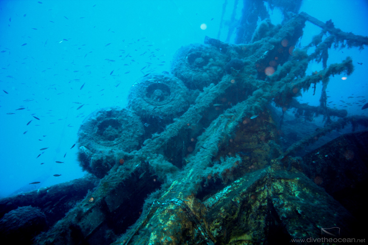 Trucks from Zenobia Wreck