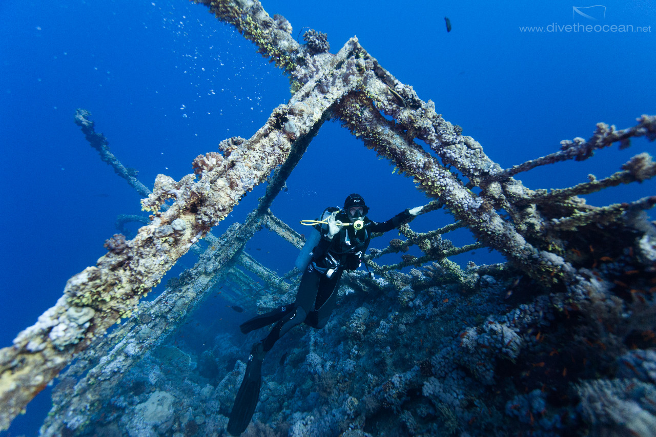 Numidia wreck - Big Brothed