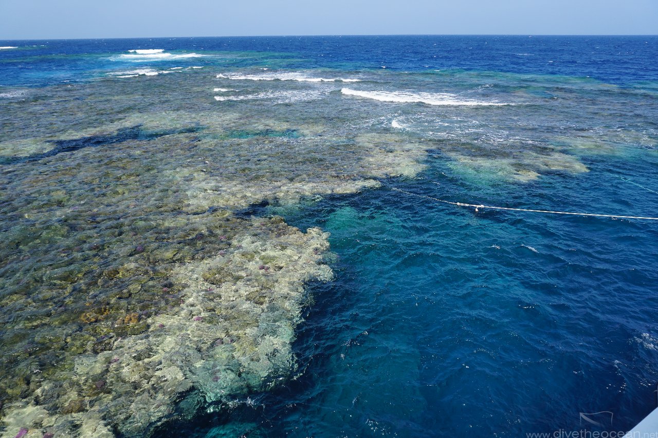 Claudio reef, Fury Shoal