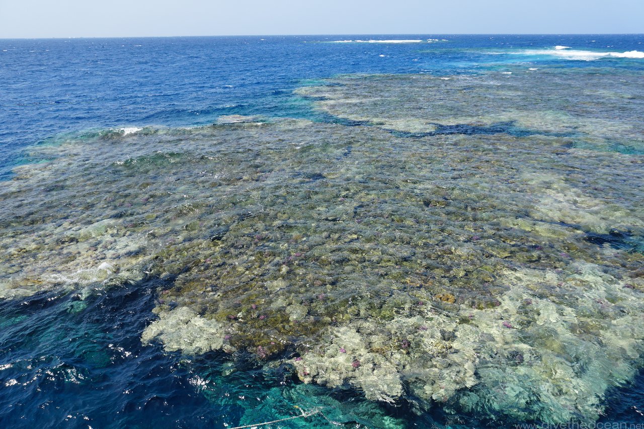 Claudio reef, Fury Shoal