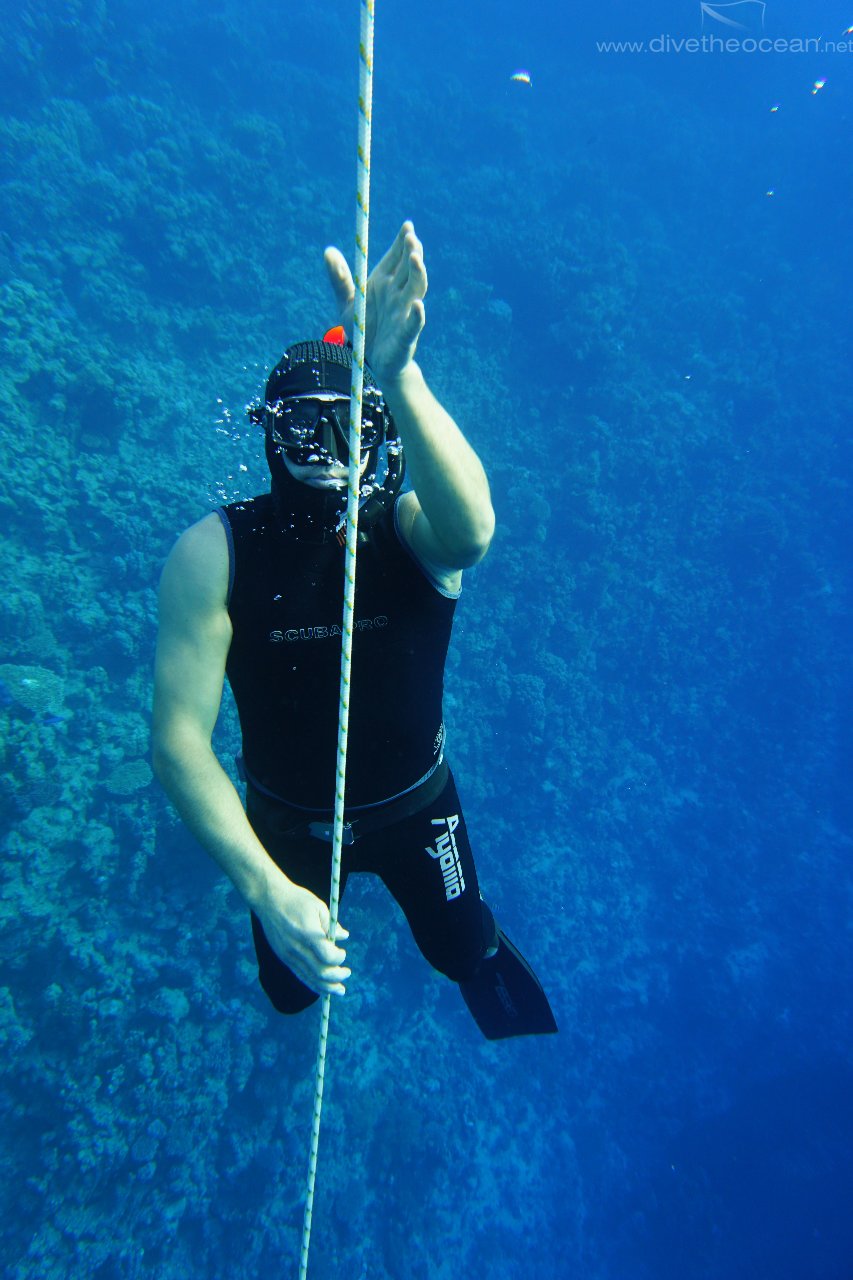 Freediver 