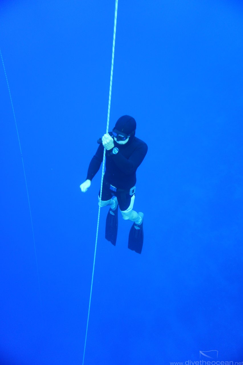 Freediver